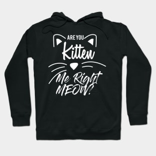 Are You Kitten Me Right Meow Hoodie